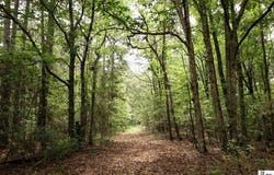 1593 LONGSTRAW ROAD, Ruston, LA 71270