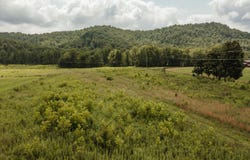 2974 E Fork Road, Means, KY 40346