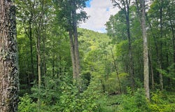 C25 Roaming Road lot: C25, Glenville, NC 28736