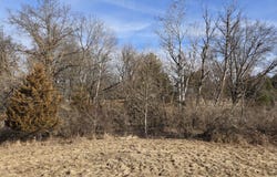 9A59 Ash Court, APPLE RIVER, IL 61001