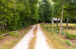 1436 Britton Road, Sumter, SC 29153