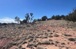 3920 Freeman Hollow Road, Snowflake, AZ 85937