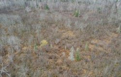 8301 Camp Amnicon Rd lot: 2, South Range, WI 54874