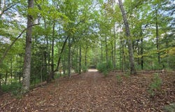 Murphy, NC 28906