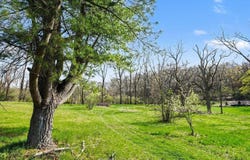 11654 E De Avenue, Richland, MI 49083