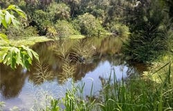 371 N Riverview St, LABELLE, FL 33935