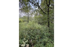 Midway Rd lot: 3-4, Strawberry Plains, TN 37871