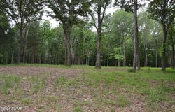 Burrow Lane, Milan, TN 38358