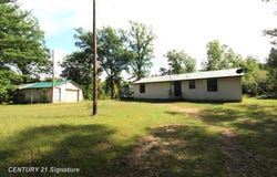 6595 Wickert Road, Hale, MI 48739
