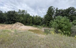 VL 5 Mile Road, Morley, MI 49336