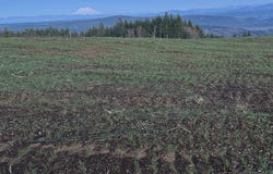 224 Suncrest Dr, CastleRock, WA 98611