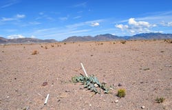 4 Lots Rolling Hills, San Antonio, NM 87832