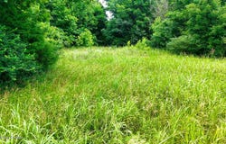 2 Ditney Hill Rd, Drakesboro, KY 42337