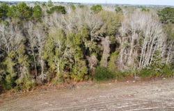 State Hwy 605, Slocomb, AL 36375