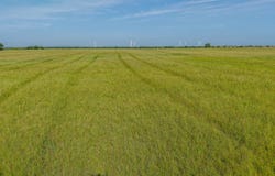 S80 Highway 74E, Marshall, OK 73056