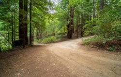 680 Hartman Creek, BOULDER CREEK, CA 95006