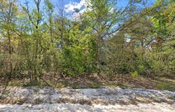 NE 770TH Streets, OLD TOWN, FL 32680