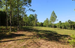 Tower Hill Rd, Appomattox, VA 24522