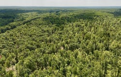 E Long Lake Road, Harrison, MI 48625