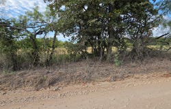 301 County Road 315, Comanche, TX 76442