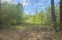 213 Primrose Lane, Judsonia, AR 72081