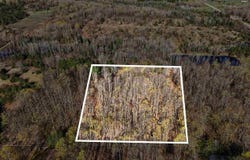 13200 Congdon Road, Wolverine, MI 49799