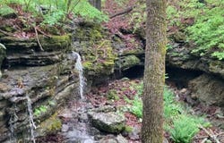 1038 Mug Drive, Macks Creek, MO 65786