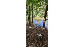 Lafayette Road, Groton, NY 13073