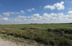 1 Norway St, Murrary, IA 50174