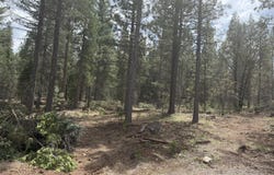 016 Chad Court, Burney, CA 96013