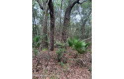 5210 CO RD 214, Keystone Heights, FL 32656