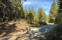 Gold Cup Mountain Rd, Priest River, ID 83856