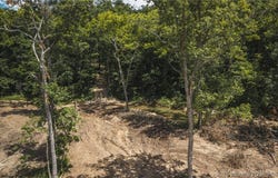 Geronimo Springs-Tract 4, Macks Creek, MO 65786