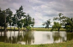 1351 County Road 320, Granger, TX 76530