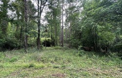 1003 Shady Lane, Jasper, TX 75951