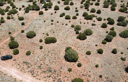 4161 S Pinto Road, Snowflake, AZ 85937