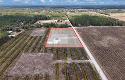 965 NW 55th Ave, Bell, FL 32619