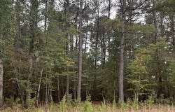 402 State Rd S-6-537, Barnwell, SC 29812