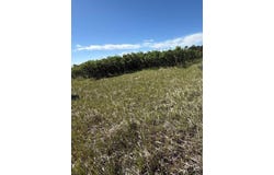 Pine Dr, Rye, CO 81069