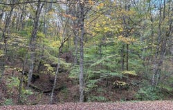 Overlook Dr, Slatyfork, WV 26291