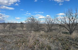 116 Comanche Lake Road, Comanche, TX 76442