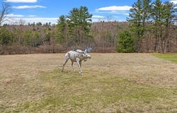 6 Brookside Lane, CHENANGO FORKS, NY 13746