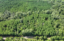 Sam Booker Road, Mansfield, LA 71052