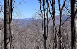 TBD Riddle Br Rd, Burnsville, NC 28714