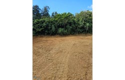 Miraflores, Arecibo, PR 00612
