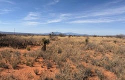 S Cochise Trail, St. David, AZ 85630