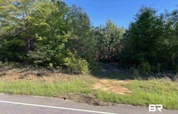 Highway 31, Evergreen, AL 36401