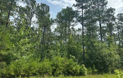 Maureen Lane, Butler, AL 36904
