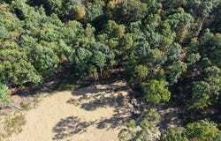 Buck Trail, Shade Gap, PA 17255