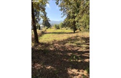 McKenzie Hwy, Springfield, OR 97477